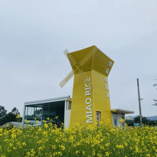 1646723969920395.png image.png