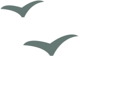 1648275630948721.gif 微信图片_20220326141626.gif