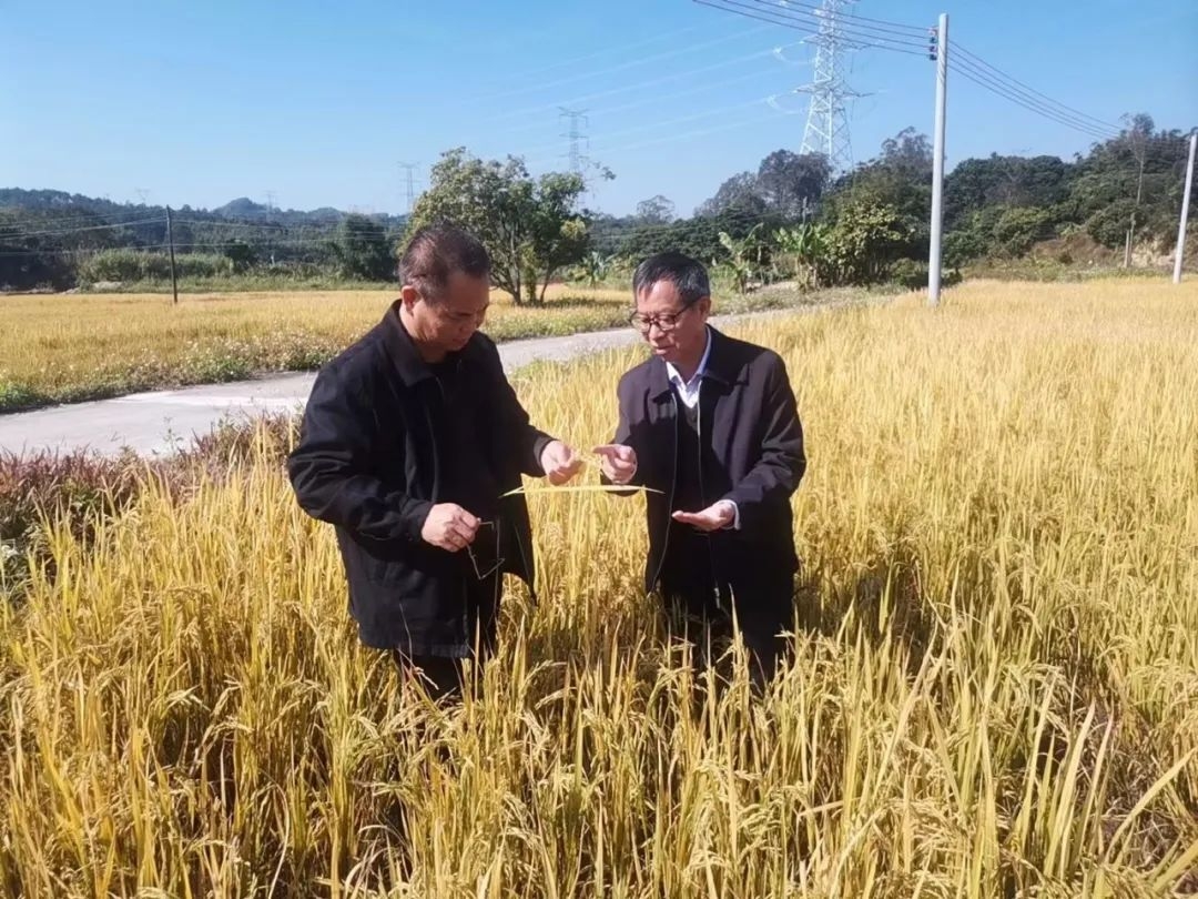 1656050894581847.jpg 微信图片_20220624140812.jpg