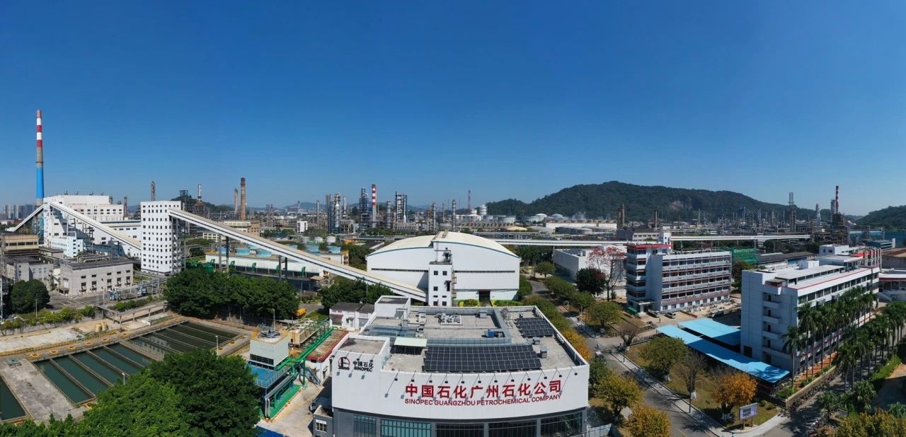 1695603513856427.jpg 5e50fb4769f1b212eea11f3a1acd64d0.jpg